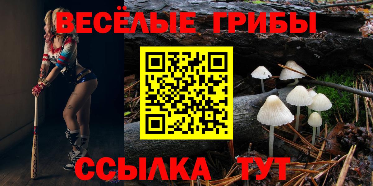 Псилоцибиновые грибы прущие грибы Подольск