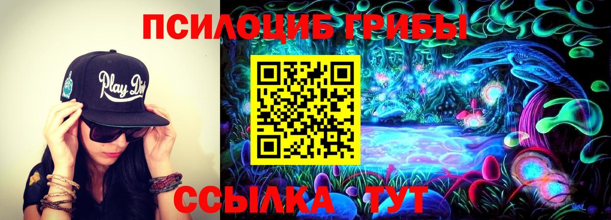 Подольск  Псилоцибиновые грибы мухоморы  наркотики  Вход с VPN 